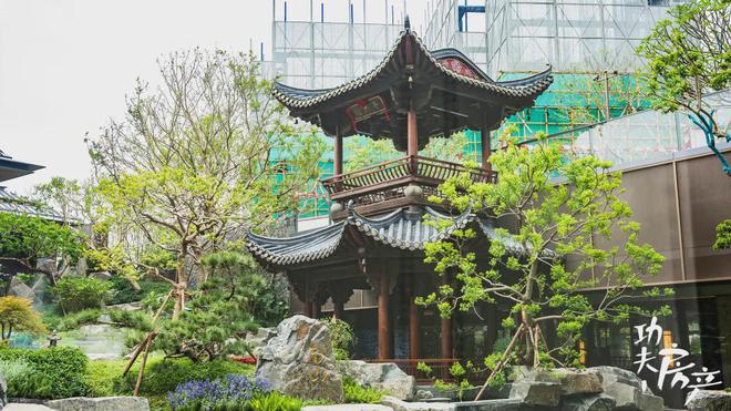 芯“超配”产品总价150万起！爱游戏平台首日登记已破百！禅桂(图29)